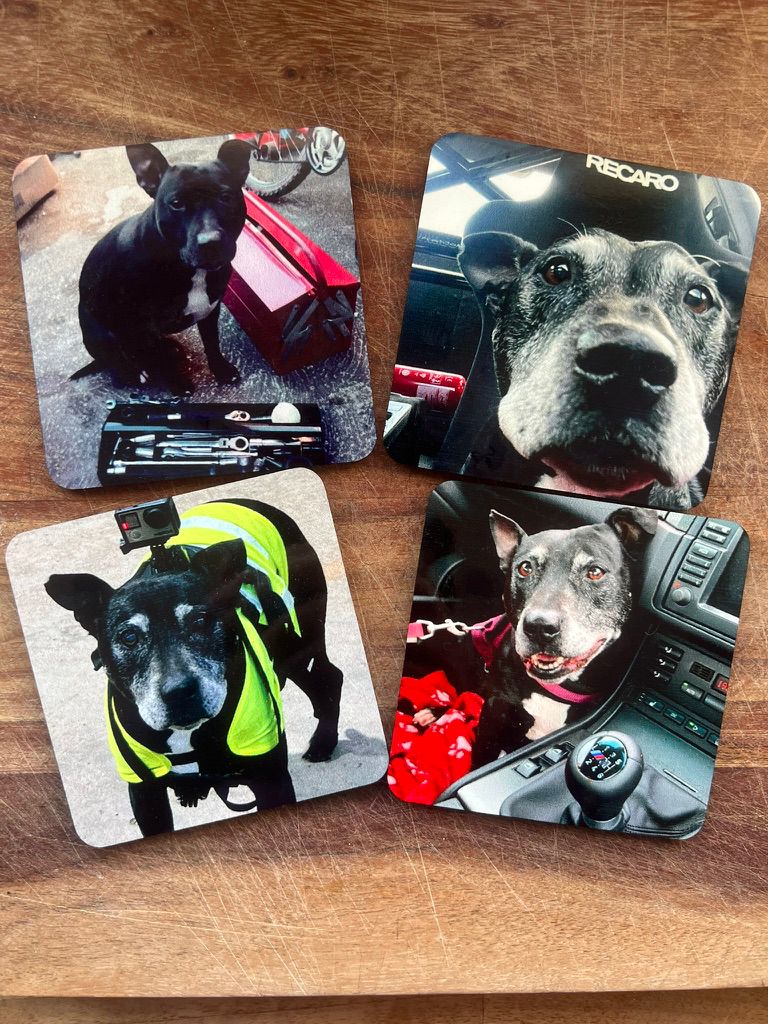 Safety Inspector Coasters